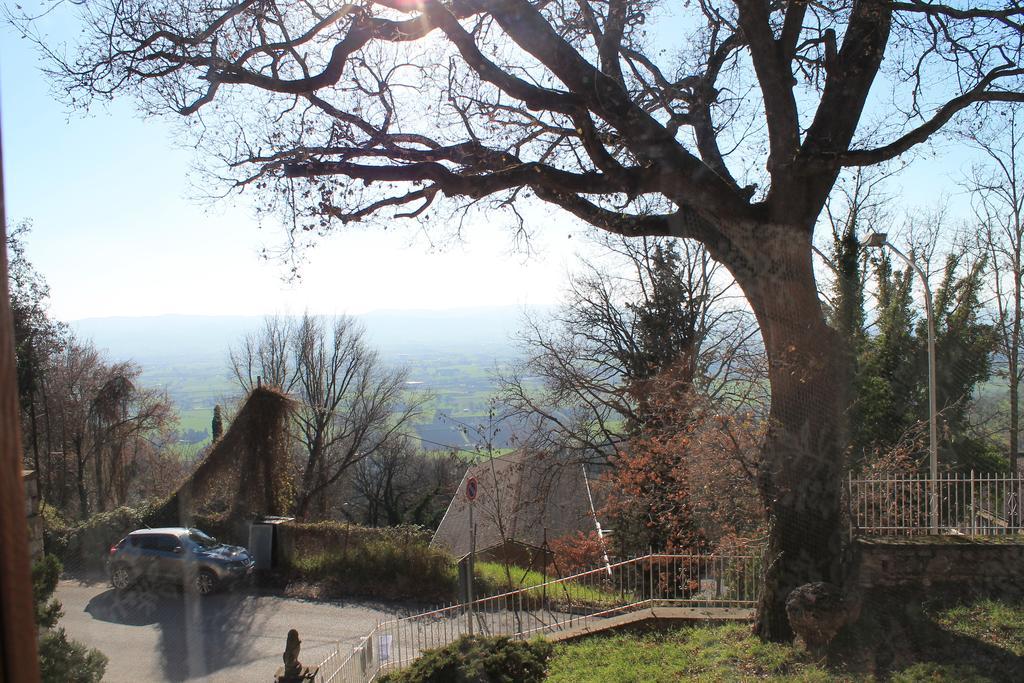 Sogni D'Assisi Bed & Breakfast Dış mekan fotoğraf