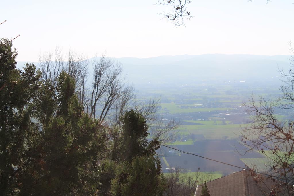 Sogni D'Assisi Bed & Breakfast Dış mekan fotoğraf